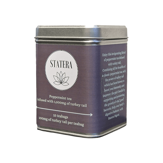 Statera 1500mg Turkey Tail 'Digest' Tea - 15 Biodegradable Vegan Tea Bags - Online Vape Shop